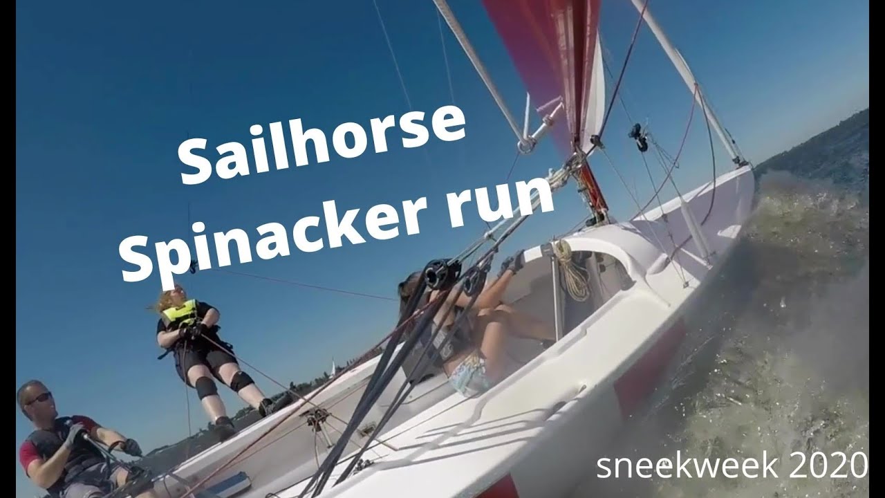 Sailing sailhorse spinacker run