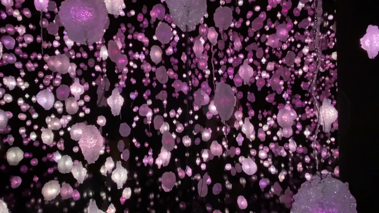 Pipilotti Rist/Kunsthaus Zürich