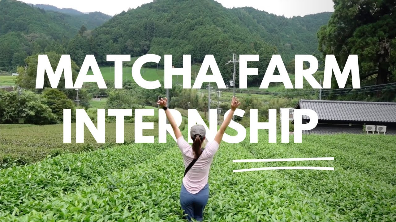 My Internship in Japan | Stanford MBA Vlog