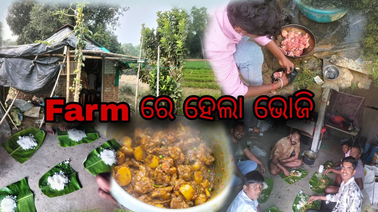 Farm ରେ ହେଲା ଭୋଜି//03