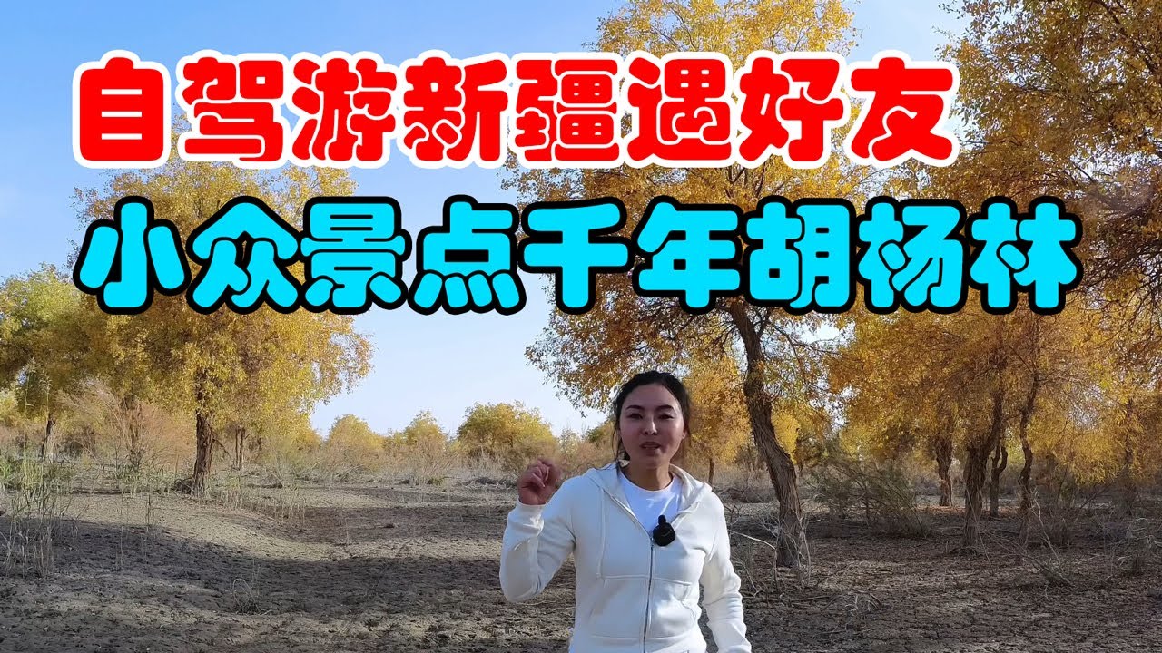 自駕遊新疆途中遇老友，結伴同遊新疆，小眾的景點千年胡楊林Self-driving to Xinjiang, poplar euphratica forest in niche attractions