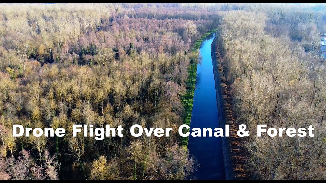 Aerial Drone Footage of Canal and Forest