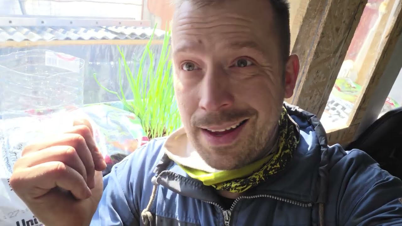 Autobusā iebūveju mini siltumnīcu uz palodzes!