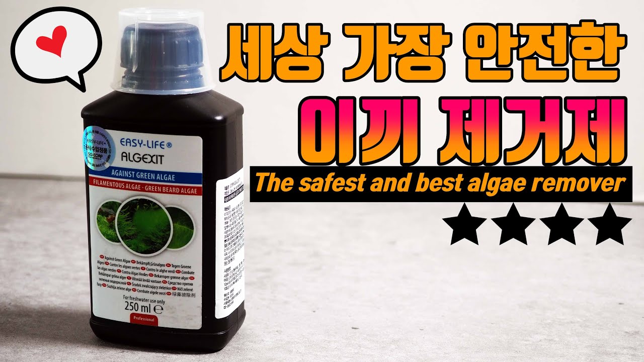 (Algexit)algae remover recommendation/the best algexit remover ever