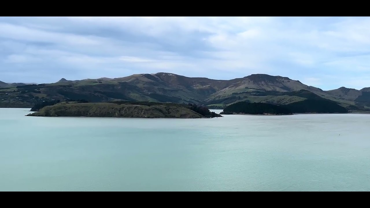 Lyttelton Harbour spring 2025