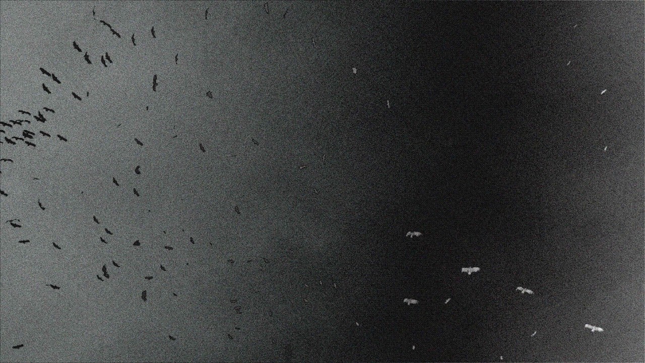 نسخه ۰۴ | V.04