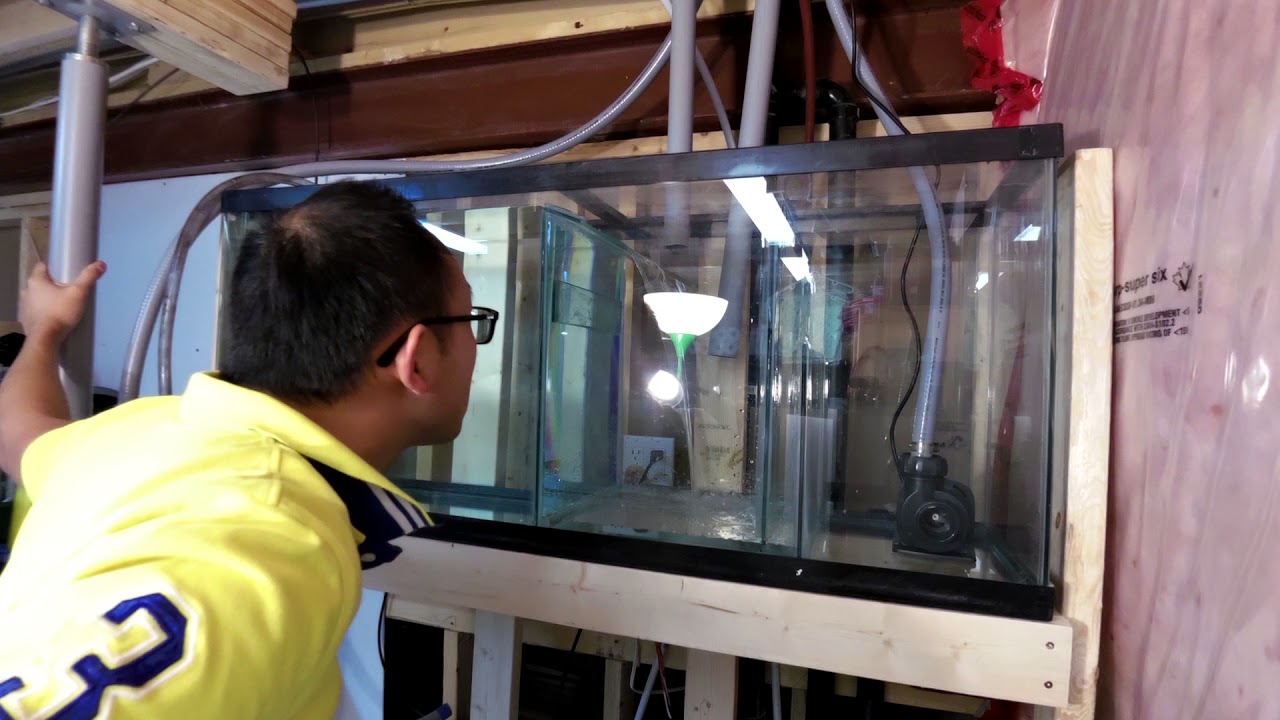 Aquarium Sump Water Testing - Shows how water level changes based on baffle positions