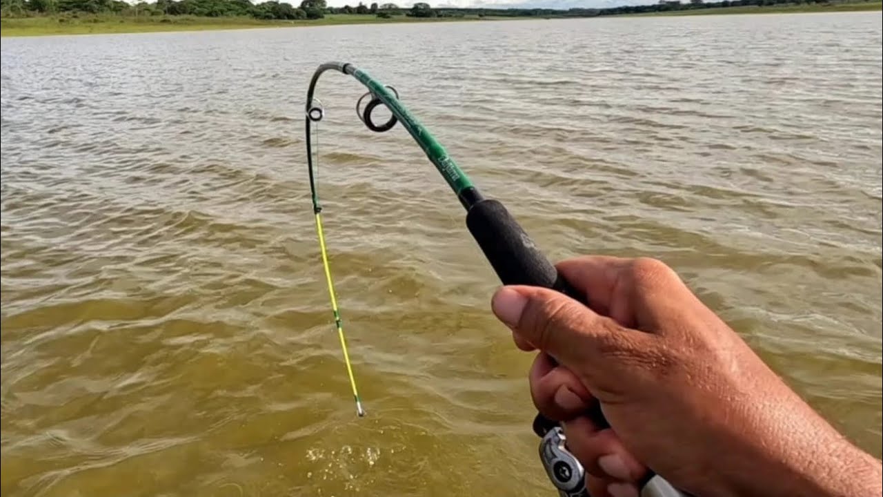 Seria difícil acreditar se não tivesse sido gravado Pescaria de barbado corvina tilápia teve até Pac
