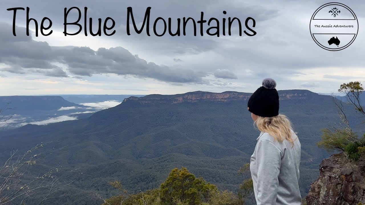 Dog Friendly Camping - Blue Mountains Edition