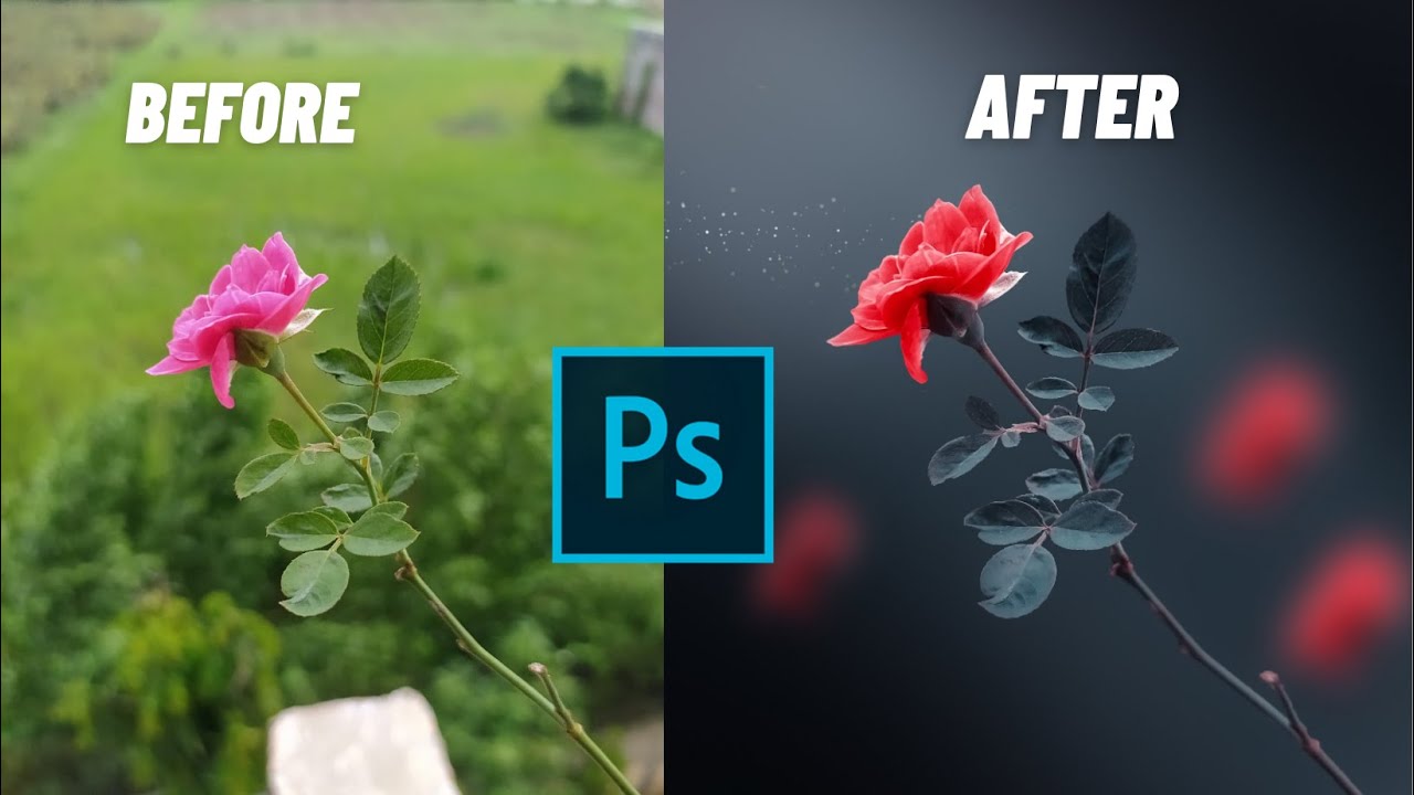 Red Blue Color Grading &  Background Blur | Flower & Macro Photography | Photoshop Editing Tutorial