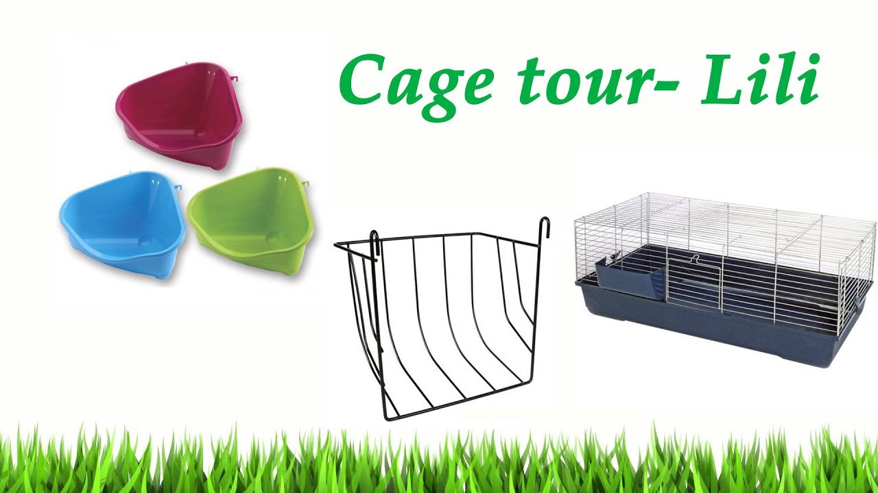 Cage tour |Králičí klec| BGP