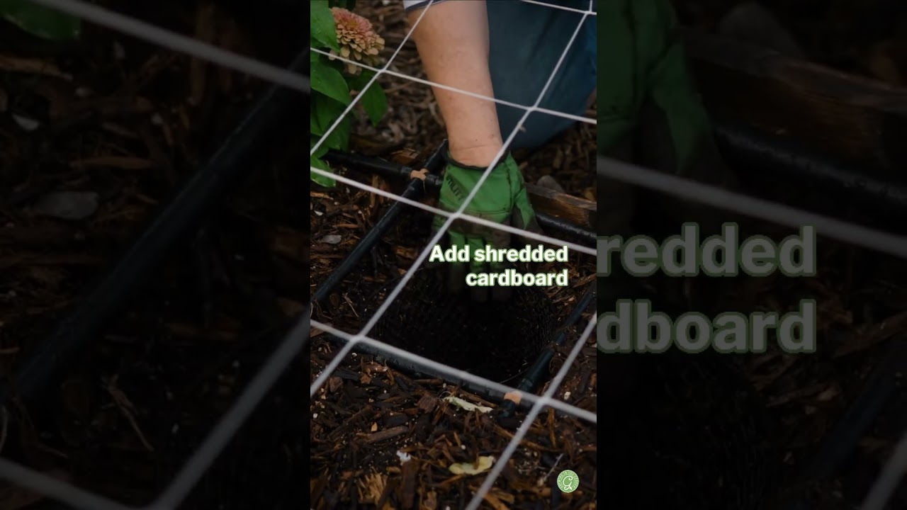 Feeding the Worms in My Garden Bed