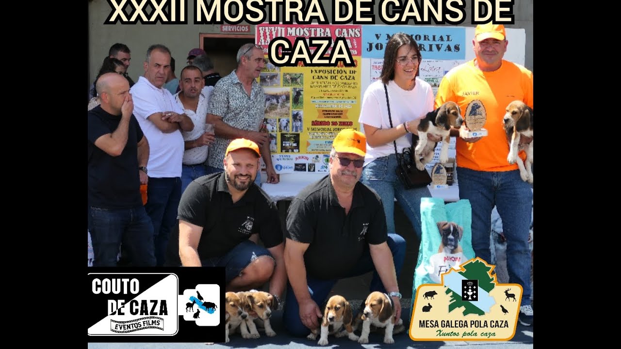 COUTO DE CAZA NA EXPOSICIÓN DE CANS DO MESON DO VENTO 2025
