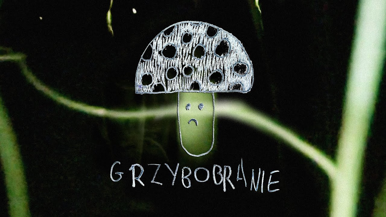 vgtbl pl (Franek Warzywa & Mlody Budda) - Grzybobranie (OFFICIAL VIDEO)