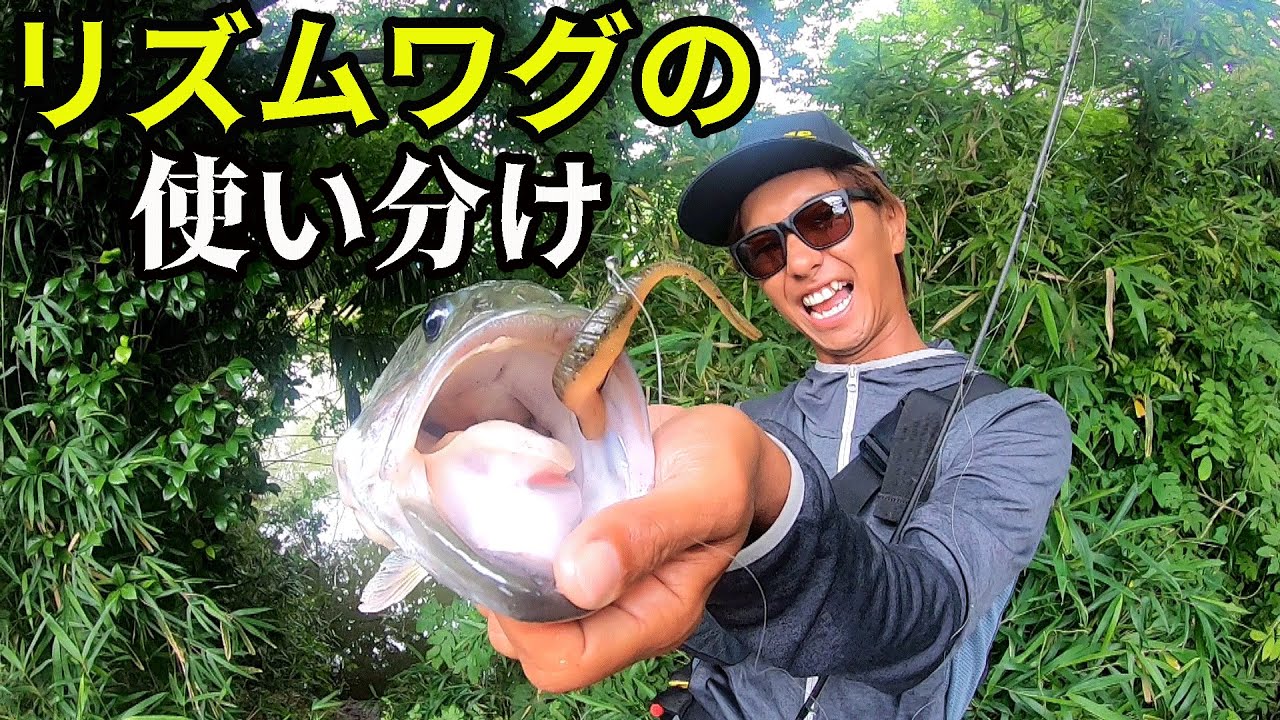 五三川モンスター登場！梅雨の河川攻め。
