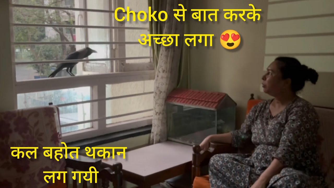 Choko से बात करना अच्छा लगता है | Daily life Journey#pets #home 