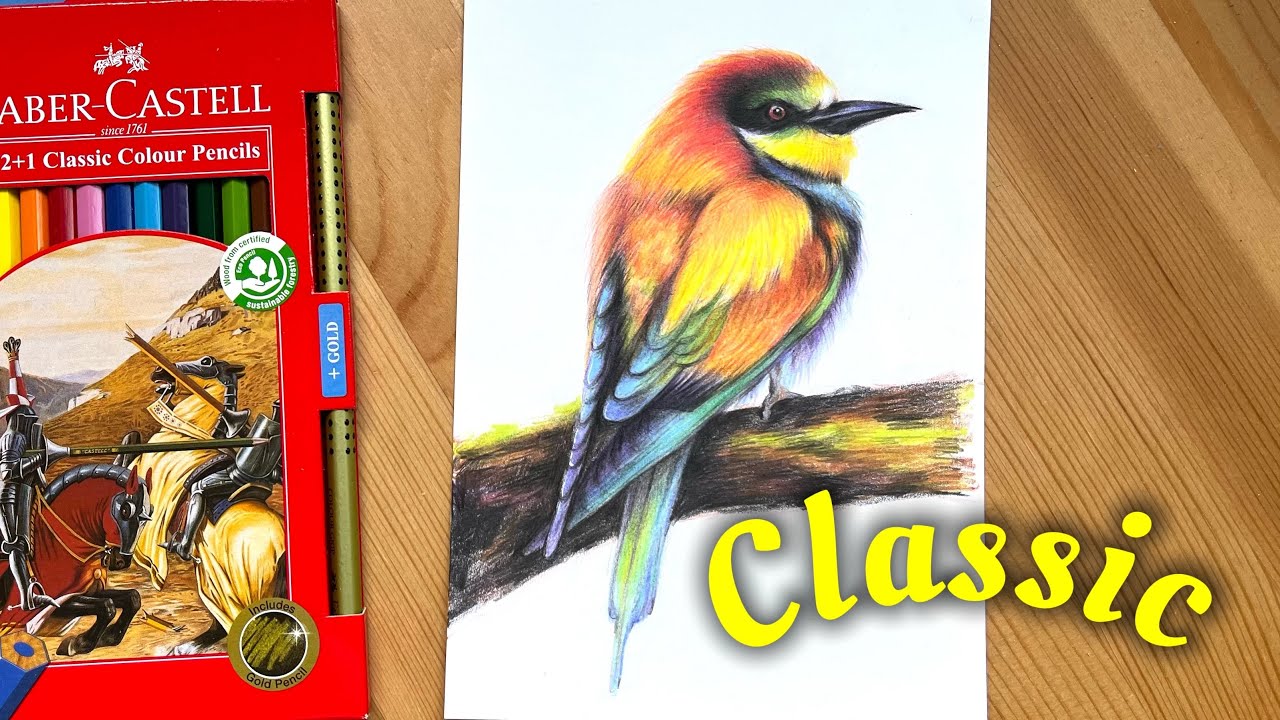 Drawing Bird with Faber Castell Classic Colour Pencils Pack of 12