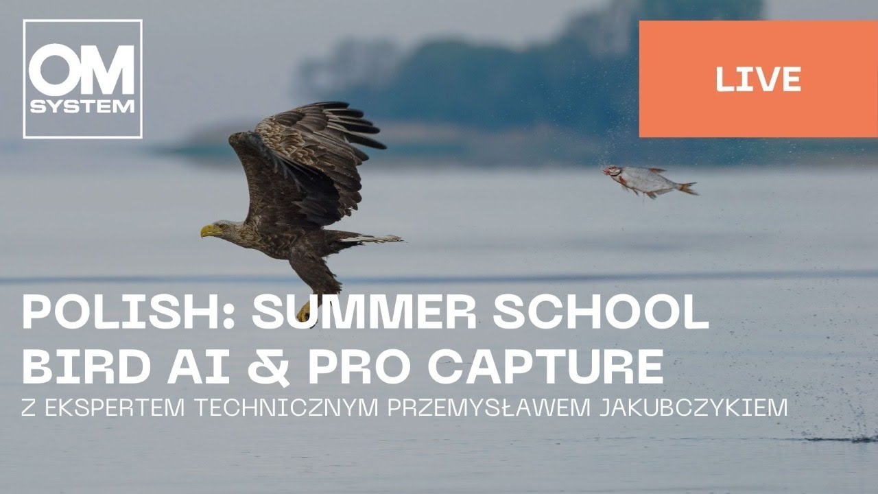 Polish | Summer school: Dowiedz się więcej o wykrywania AF AI i ProCapture