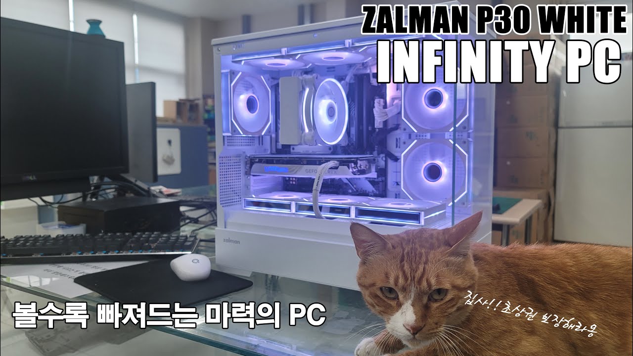 인피니티로 완성된 ZALMAN P30 빌드
