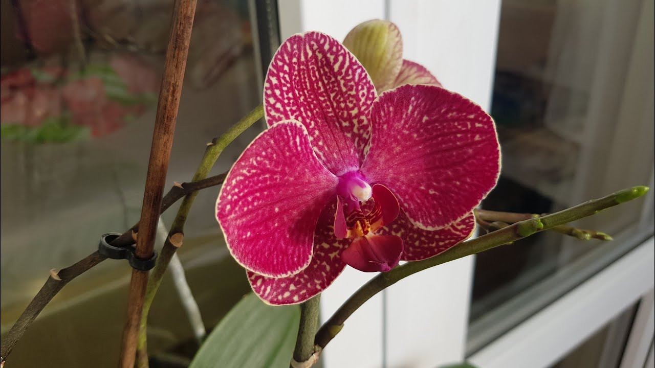 С днем рождения Март и Мои мартовские именинники 01.03.26