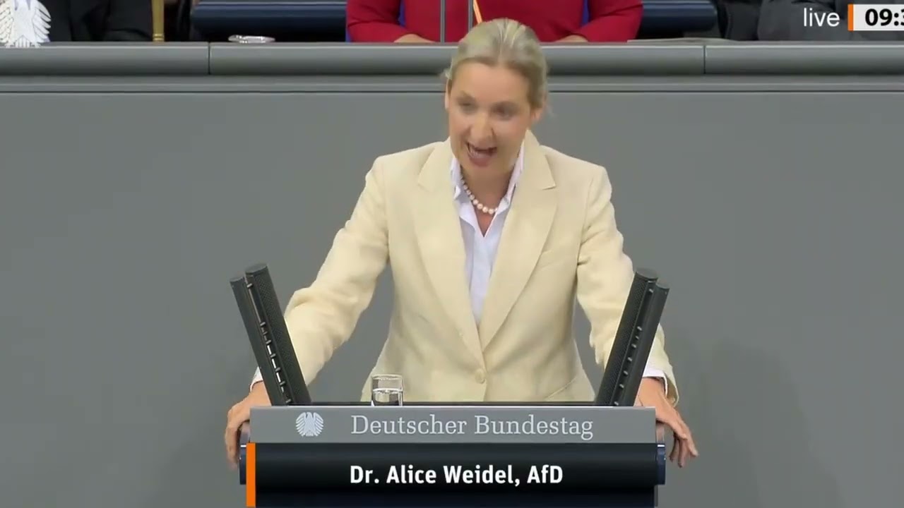 Schlacht im Bundestag 🇩🇪 | Alice Weidel (AfD) darf nicht mehr reden! AFD AM ENDE?