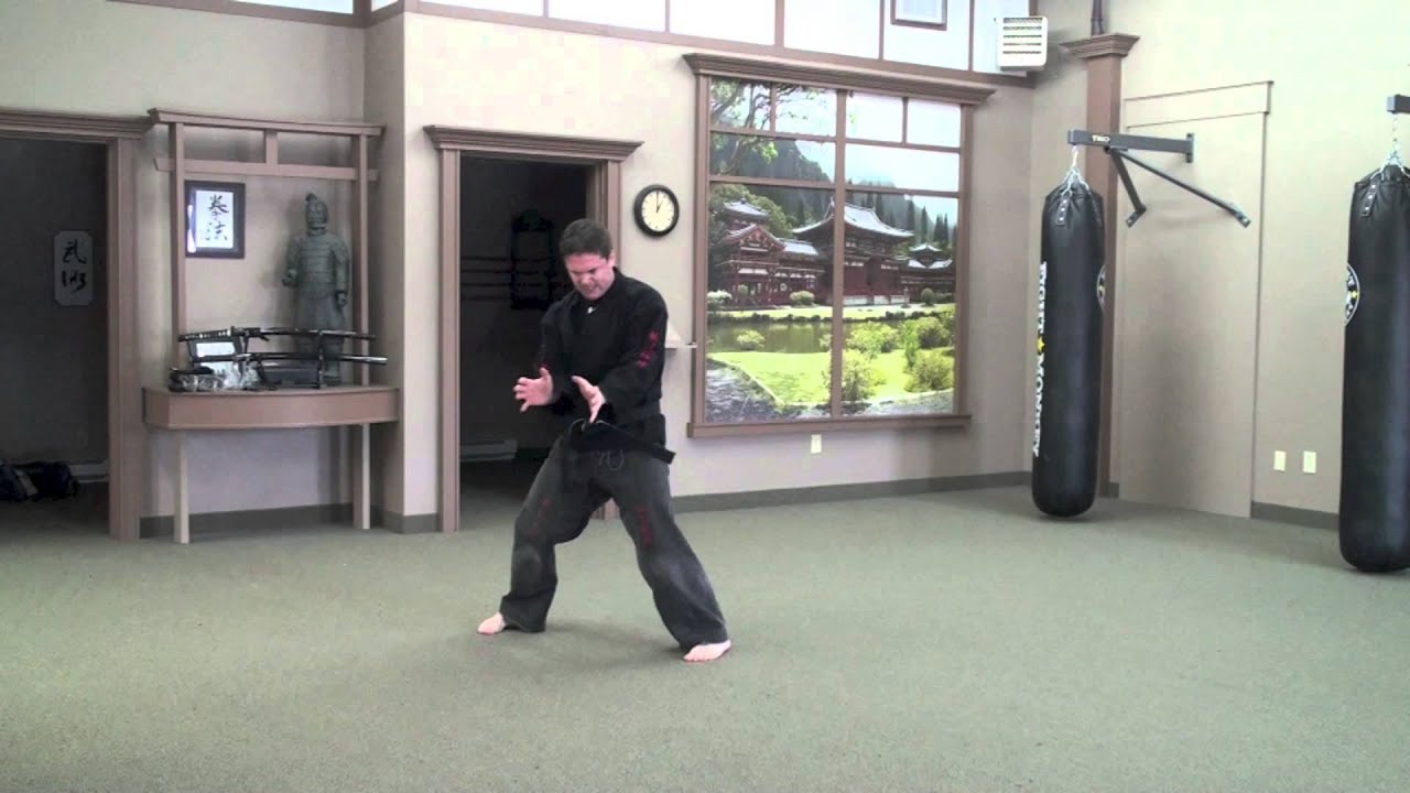 Kenpo Karate - 4th Dan Test Clips