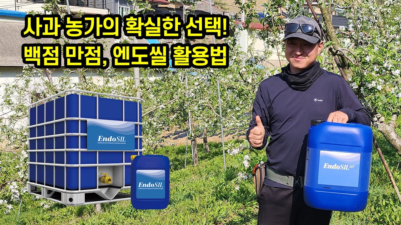 사과 농가의 확실한 선택! 백점 만점, 엔도씰 활용법