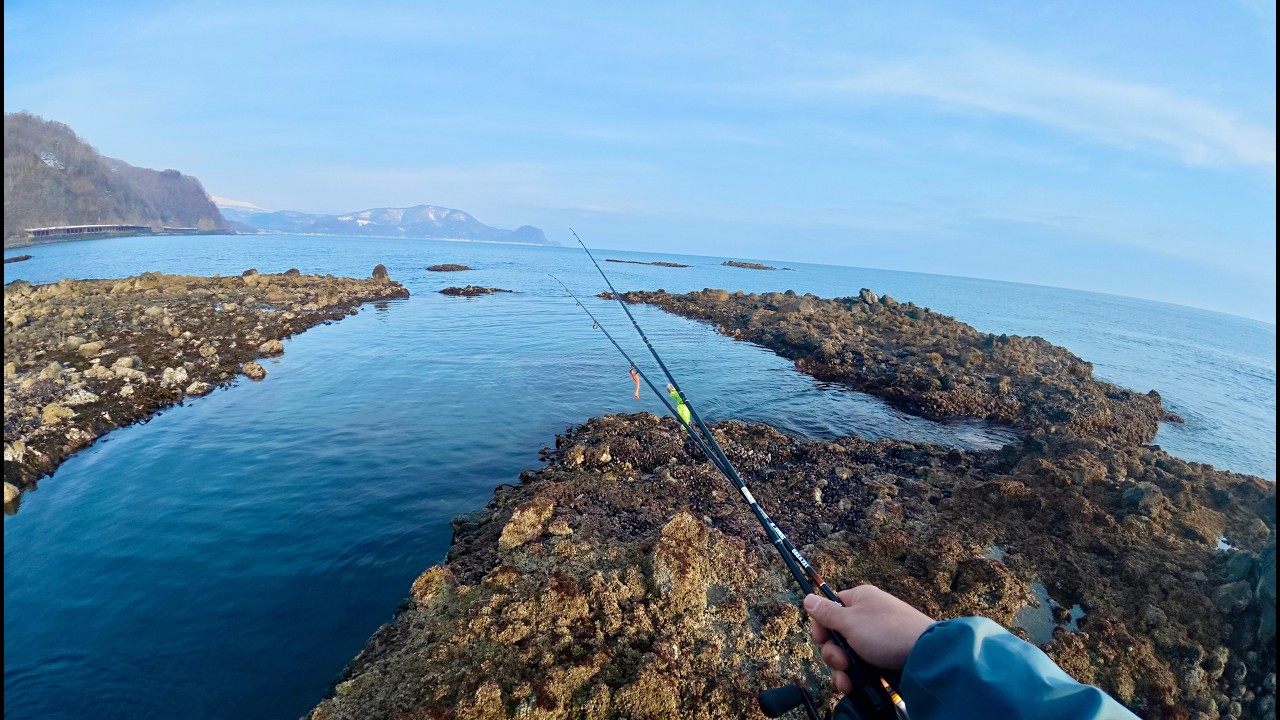【道南釣り旅】春の積丹〜小樽の海で2日間で色々な魚を狙う！釣った魚を海岸で捌いてパスタを作ったら最高だった！