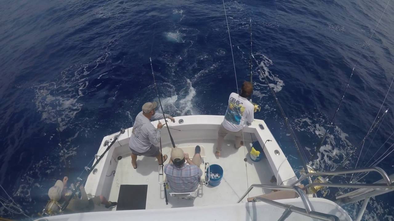 Tuna Fishing with Drone