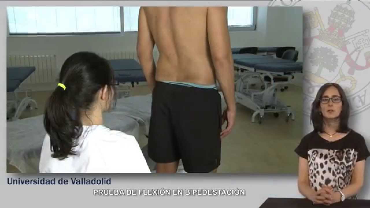 15. PRUEBA DE FLEXIÓN EN BIPEDESTACIÓN