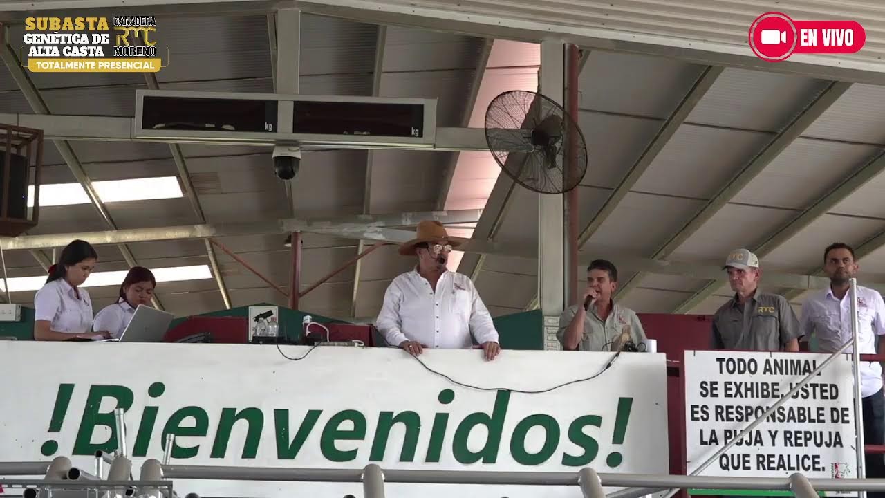 SUBASTA GANADERA MORENO 2026
