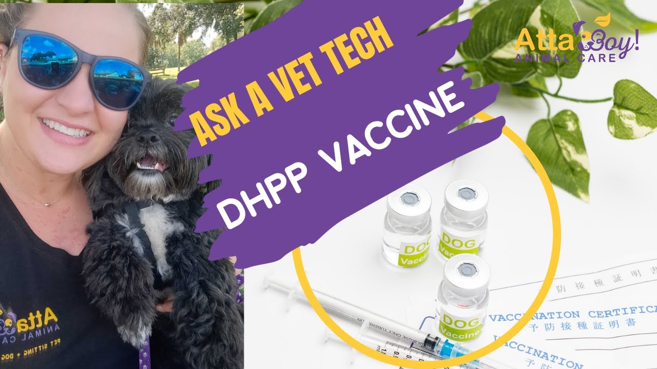 Ask a Vet Tech Series- DHPP vaccine for Dogs