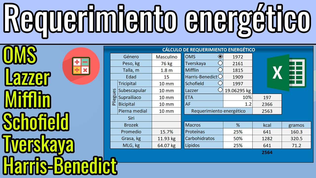 Automatización de cálculo de necesidades energéticas | Distribución de macros | Composición corporal