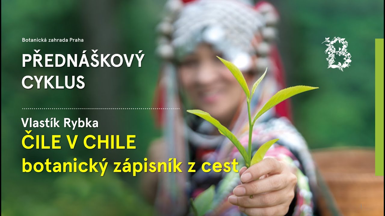 Přednáška - ČILE V CHILE: botanický zápisník z cest