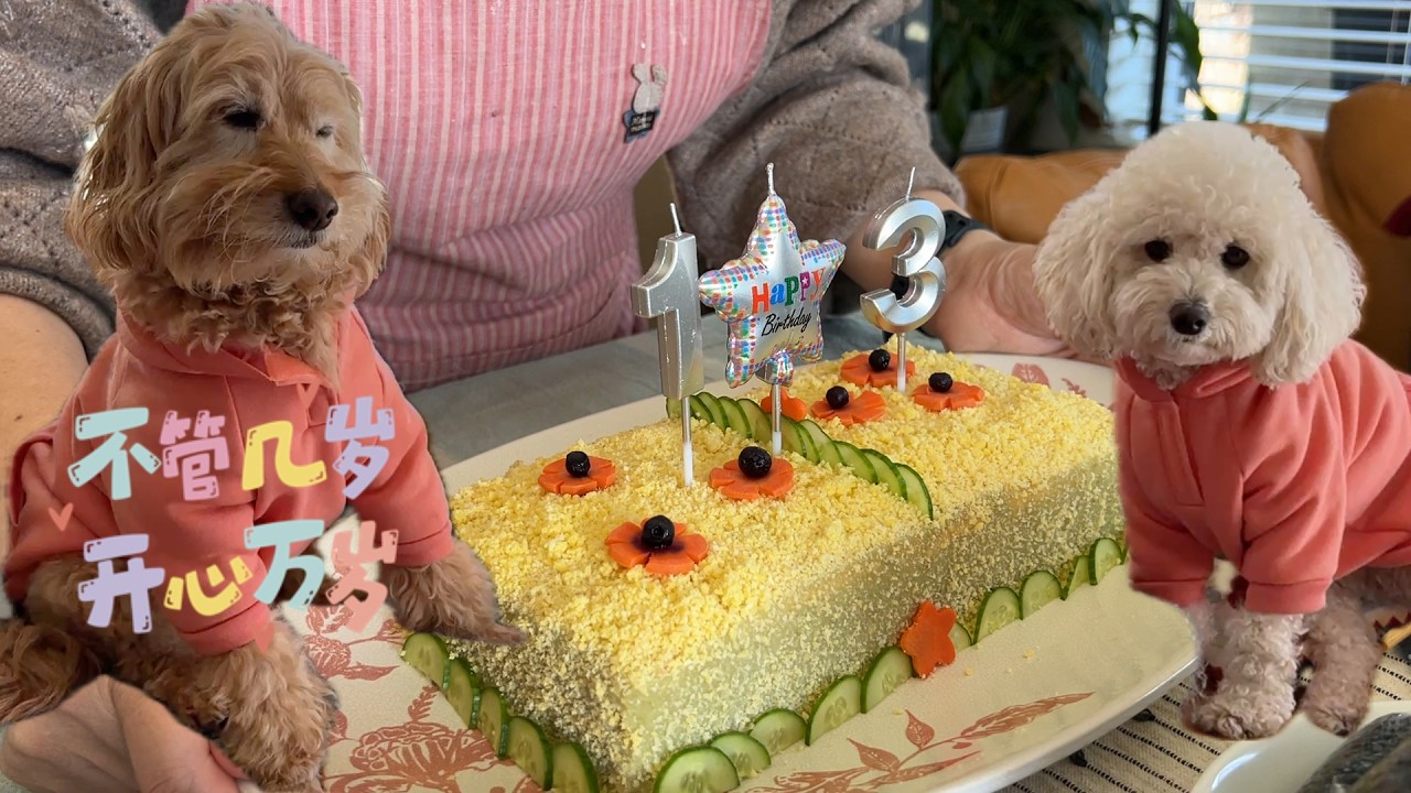 皮皮十岁 &Callie 3岁 同庆生日 自制双份蛋糕