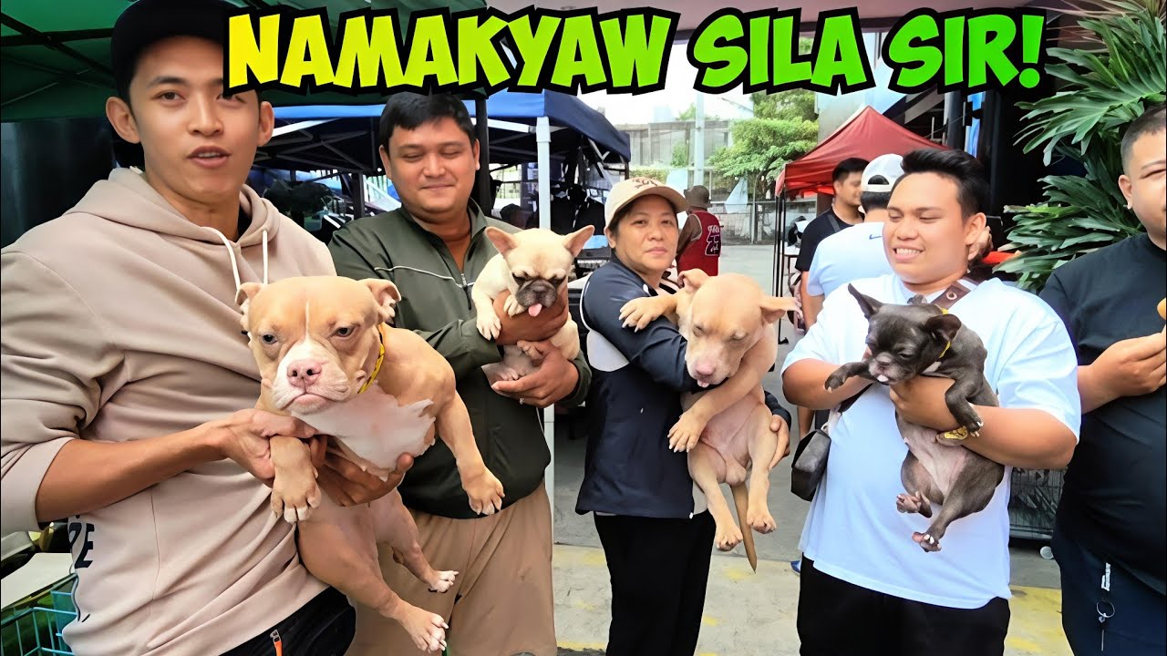 GRABE! ANDAMENG BINILI! SOLID MGA PETS SA GROTTO BULACAN PET MARKET! 2/08/26