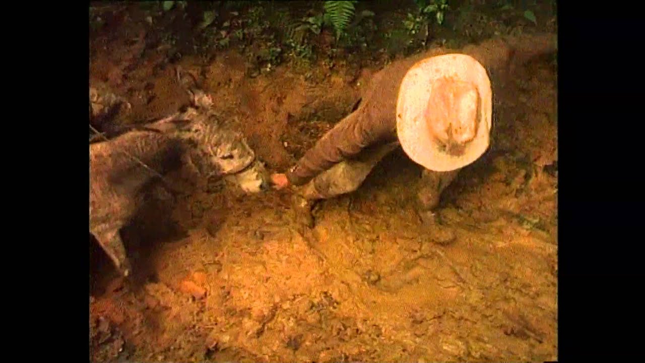 Majka Jeżowska - Kolor serca