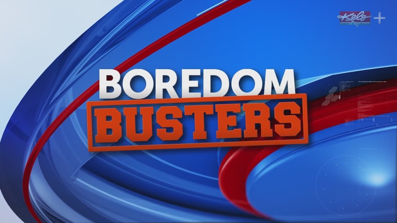 Raptors at the digital desk, Weekend events & activities | Boredom Busters