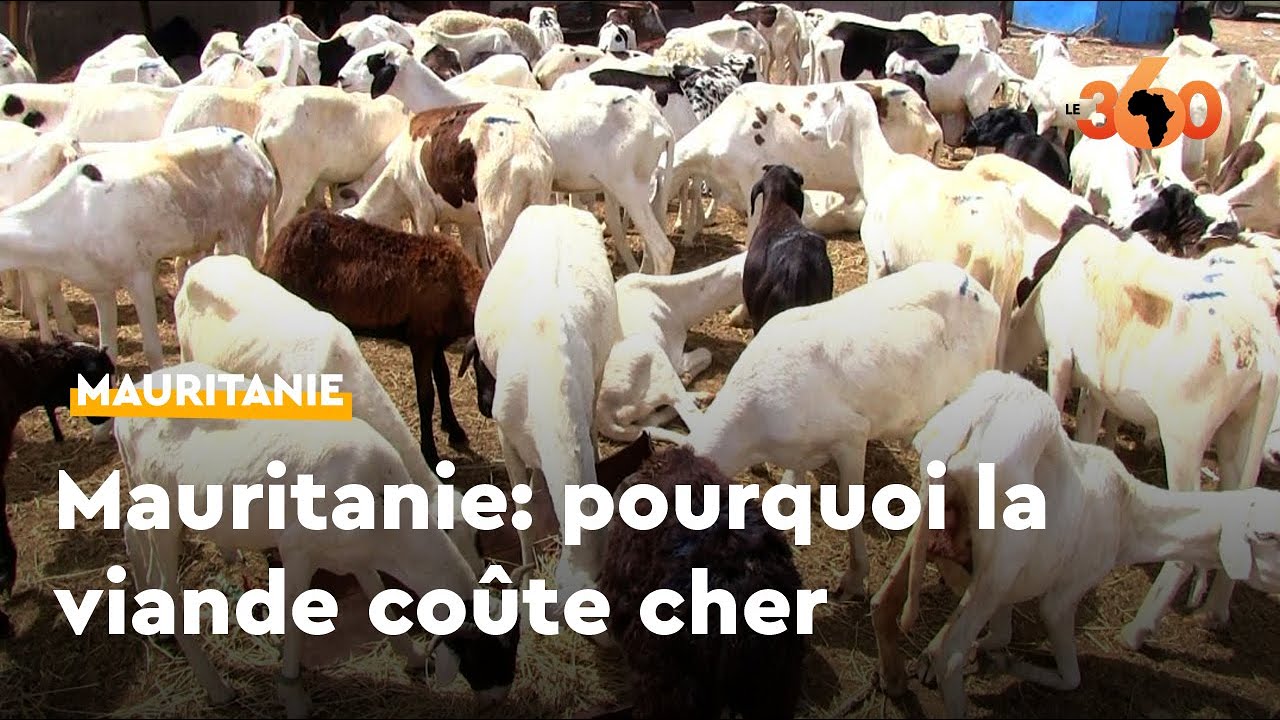 Mauritanie: voici pourquoi la viande est chère à Nouakchott, malgré l'abondance du cheptel