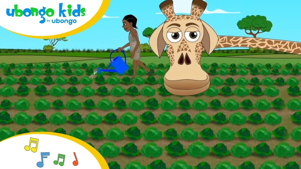 Kiswahili na Kiingereza! Kilimo chetu! | Imba na Ubongo Kids | Katuni za Kiswahili
