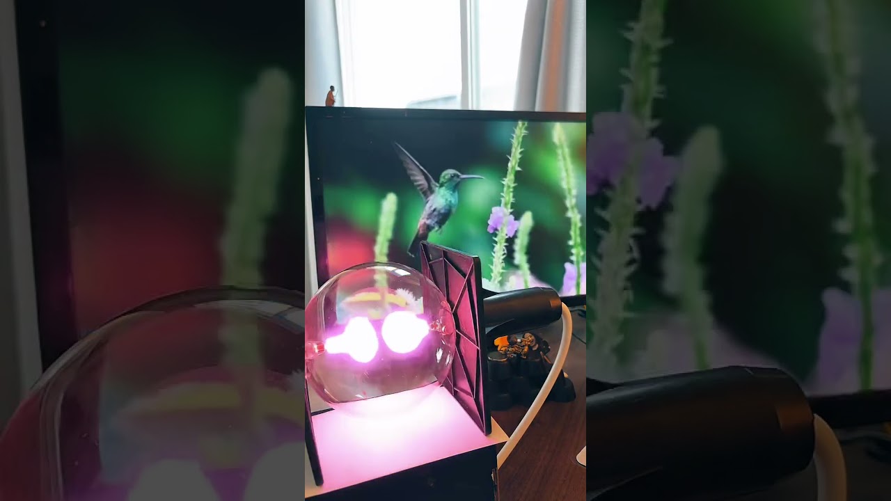 Spooky2 Plasma Ball: Unleashing Pathogen Destruction with Advanced Waveforms!