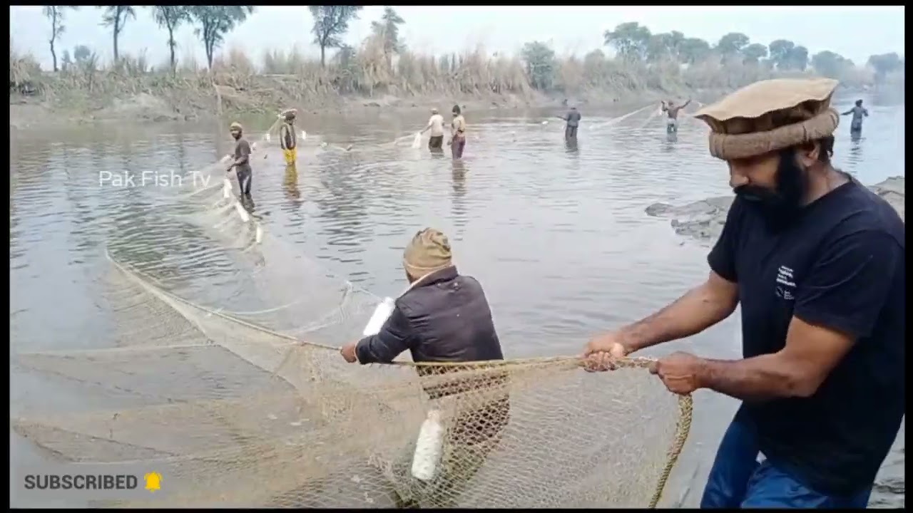 Bade Jaal Se Machhali pakdane Ka Tarika 2022 | Best Big Net Fishing Video |Net Fishing in Canal 2022