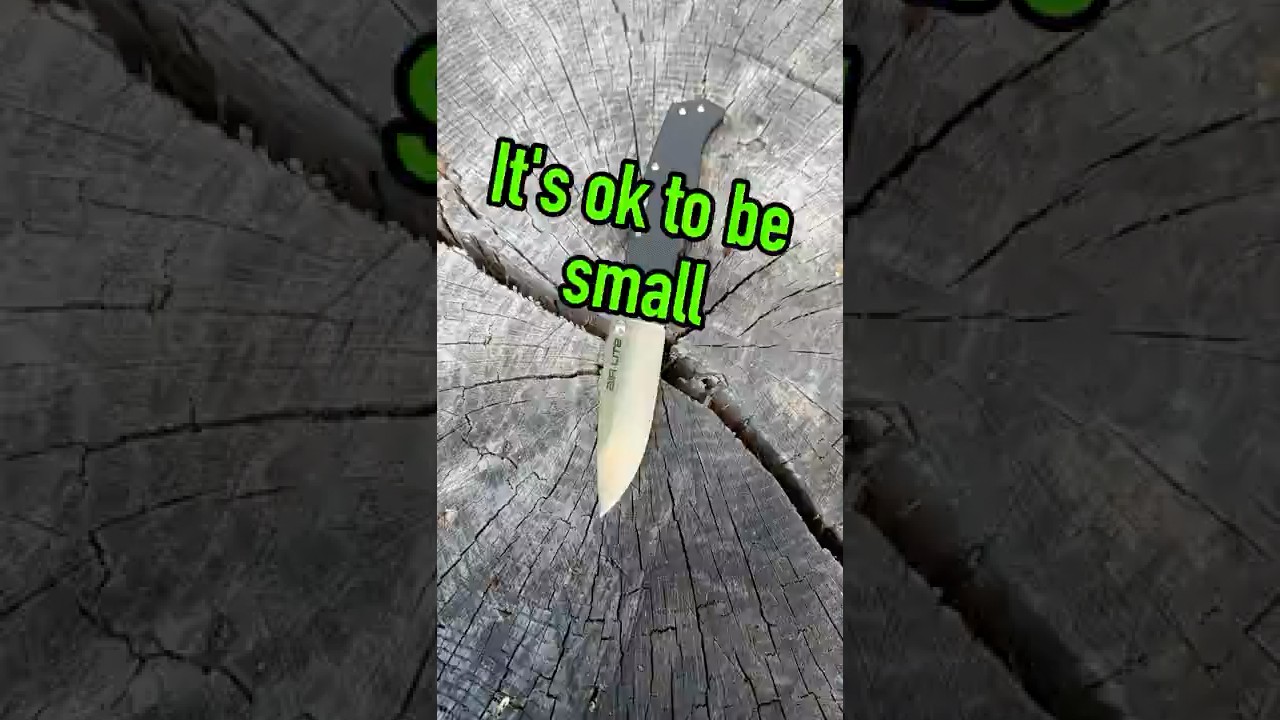 Size matters in more ways than one..... The Air Lite by Cold Steel!