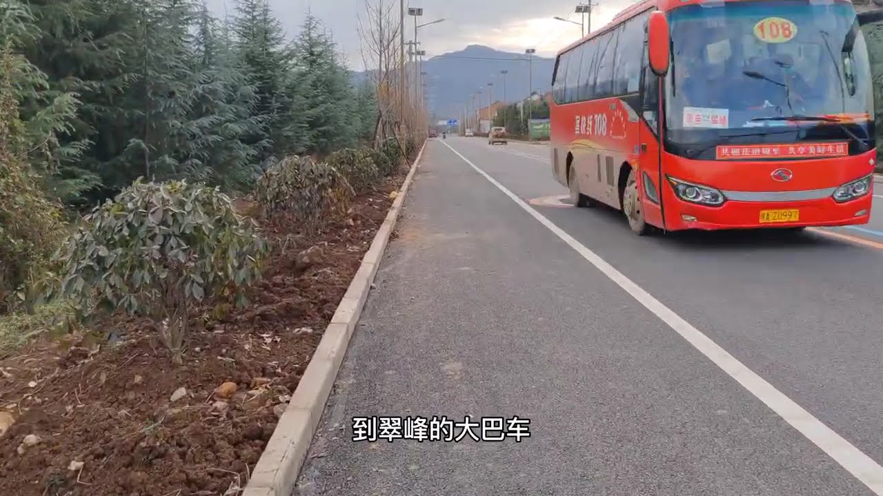 秦岭脚下的西安翠峰镇，成片的猕猴桃树环境宜人，吃当地特色翠峰饦饦#乡村游 #周边游 #农村 #旅行推荐官 #翠峰饦饦