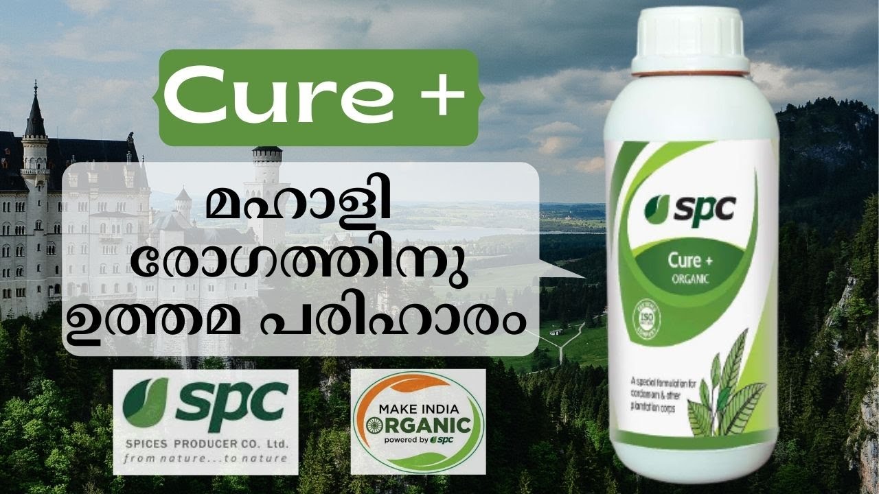 SPC Cure+  ( Stimulate plant metabolism / പ്രോട്ടീനുകളുടെ മെറ്റബോളിസം വർദ്ധിപ്പിക്കുന്നു )