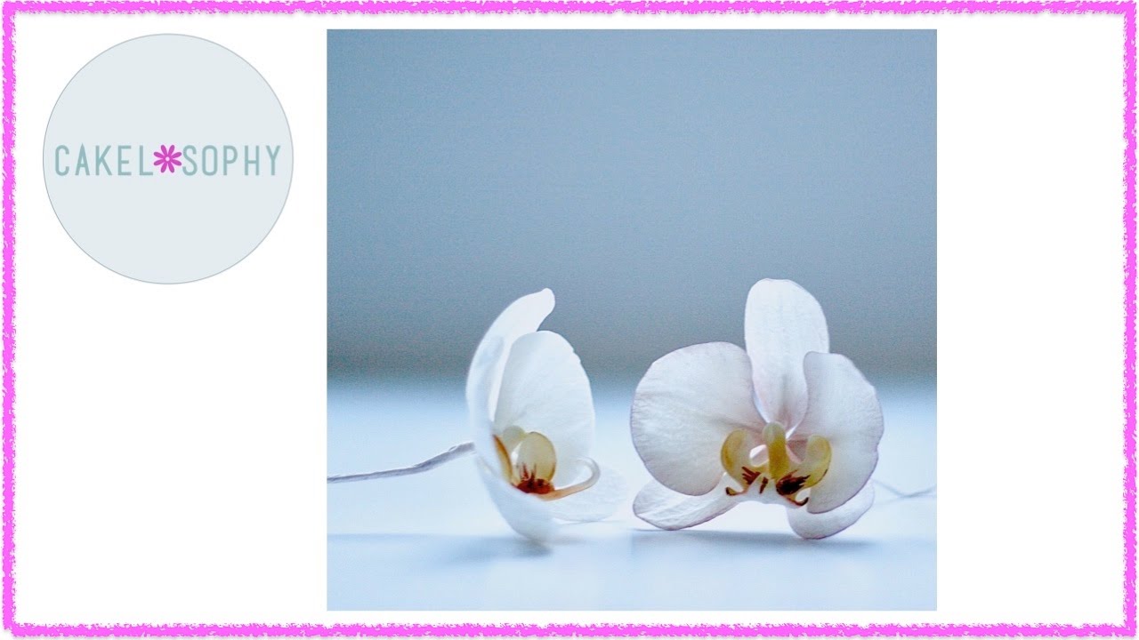 Making Elegant Sugar Orchid