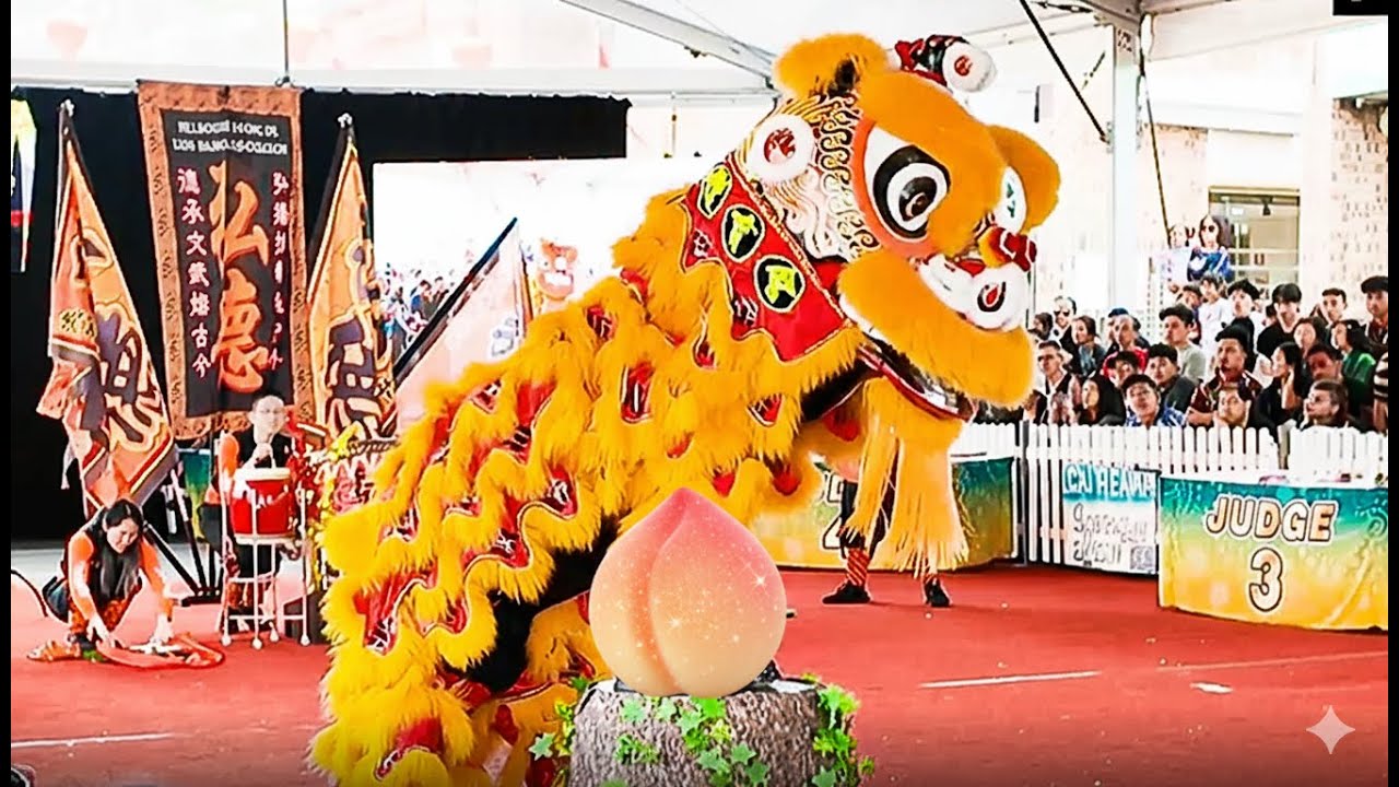 传统 2025 澳洲第一项舞狮竞赛 墨尔本弘德 First Australian Lion Dance Competition!