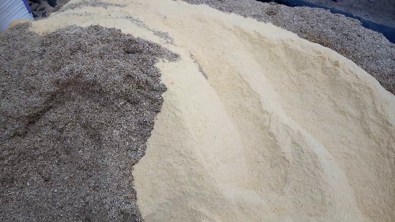 Alimento para borrego