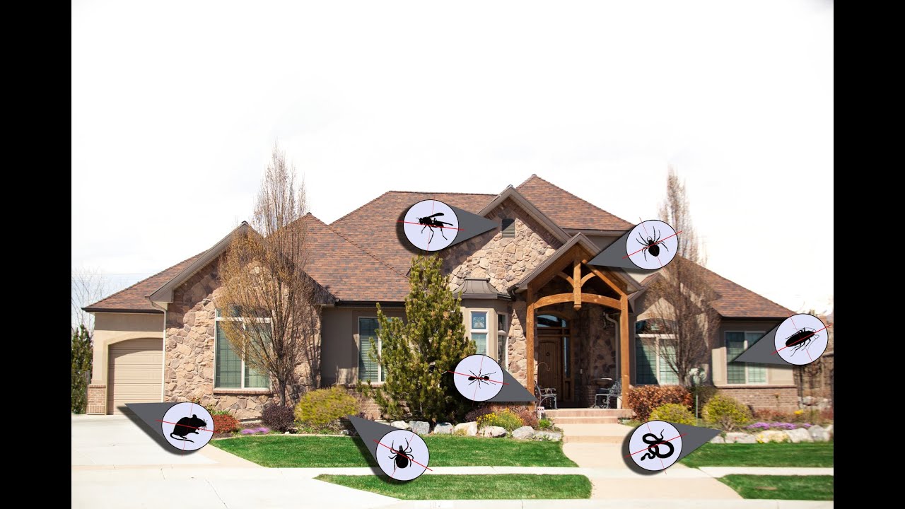 Pest Control Houston - 832-301-8398 As low as $25