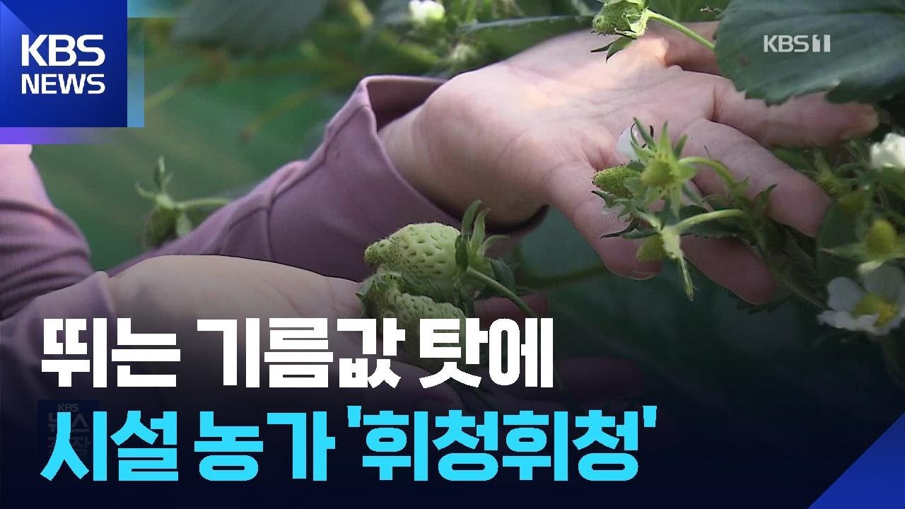 “무섭게 뛰는 기름값”…고유가 불똥에 농민 ‘울상’ / KBS  2026.03.07.